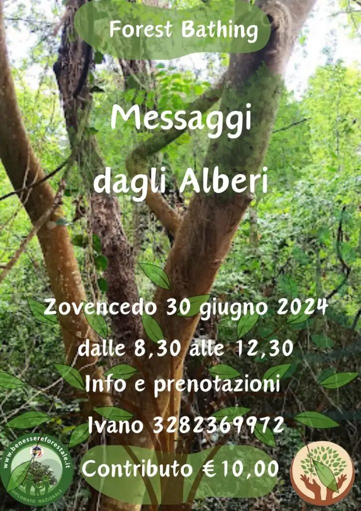 Messaggi dagli alberi